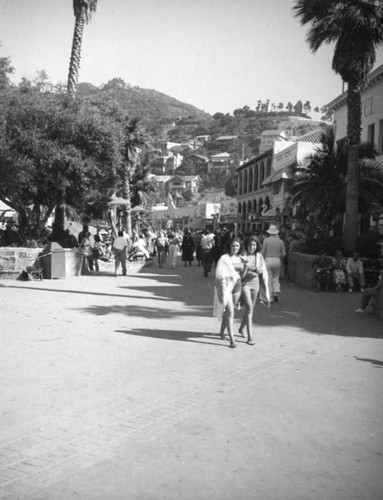 Crescent Avenue in Avalon