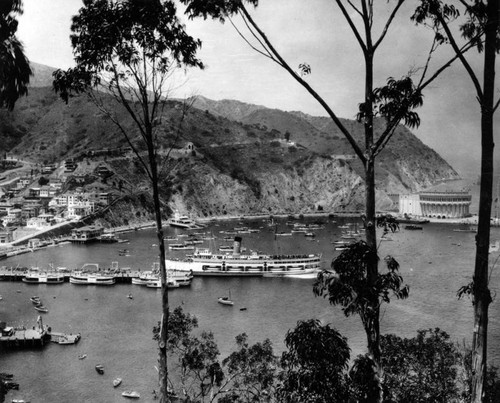 Panoramic view of Avalon Bay, Catalina Casino, and S.S. Catalina