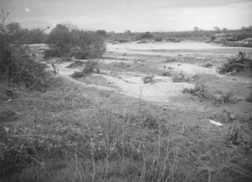 Mud and debris, El Monte hog farm after the flood