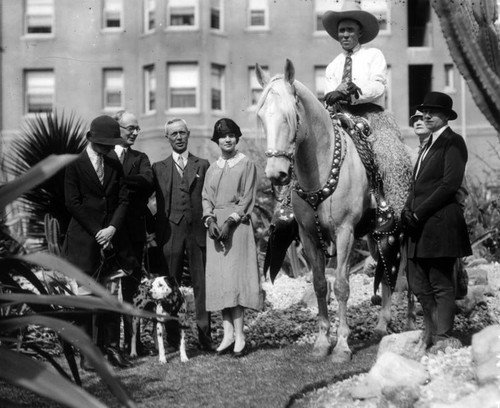 Horse show at Ambassador