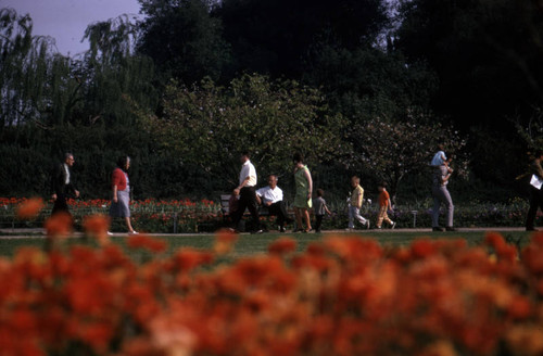 Visiting the Los Angeles County Arboretum