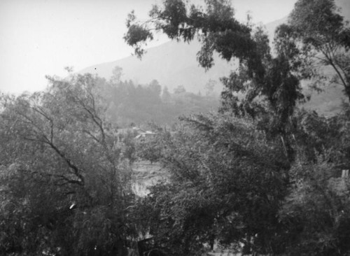 View from the Wistaria Vine, Sierra Madre