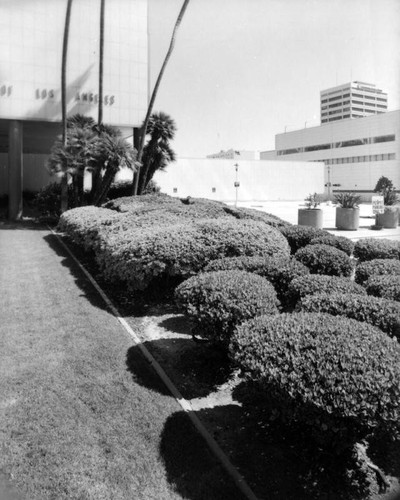 Parker Center Landscape