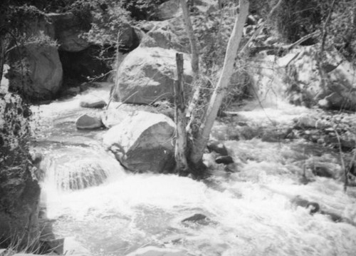 Tahquitz Canyon stream