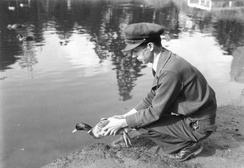 Duck at MacArthur Park