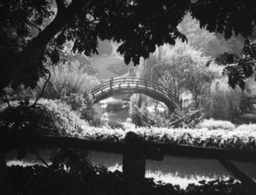 Japanese garden, Huntington Botanical Gardens