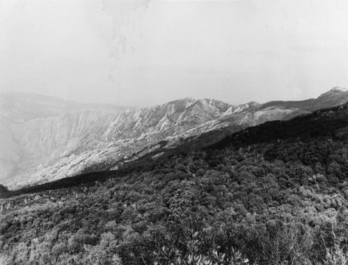 Santa Monica Mountains fire damage