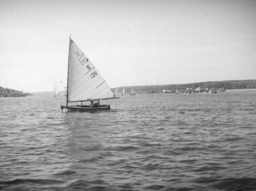 Boats in the harbor