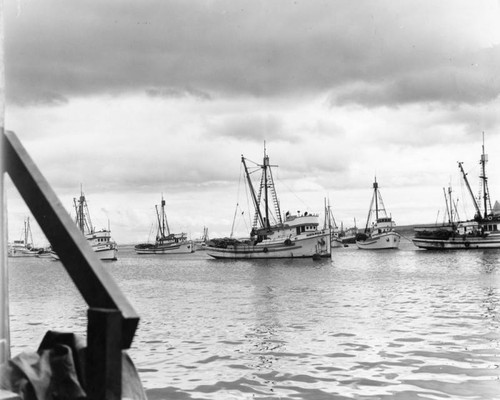 Monterey harbor