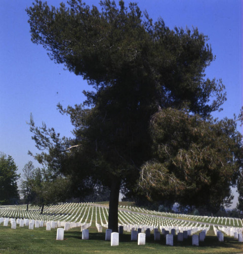 Veteran's Administration Cemetery