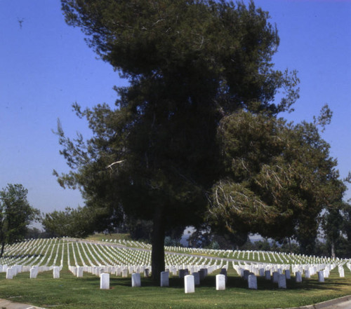 Veteran's Administration Cemetery