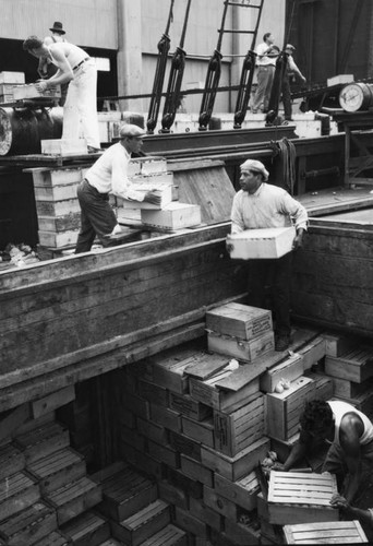 Crates of tomatoes unloaded from a ship