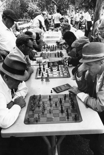 Playing chess at MacArthur Park