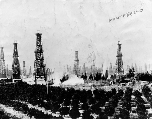 Oranges and oil field in Montebello