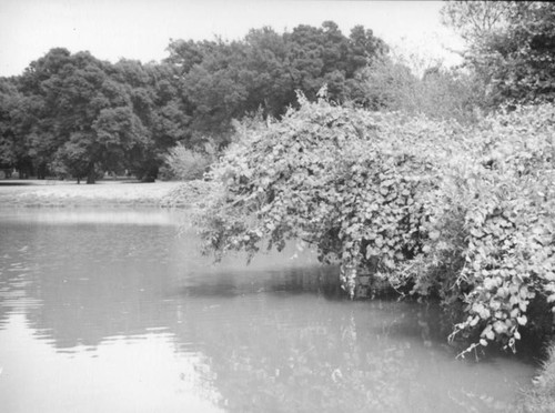 Irvine Regional Park