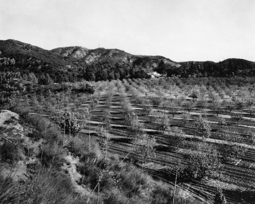 Panoramic view of Eagle Rock, view 18