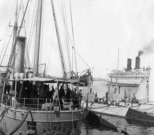 Ships in the harbor