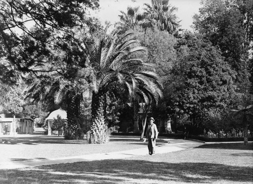 Man walking in a park, Pasadena