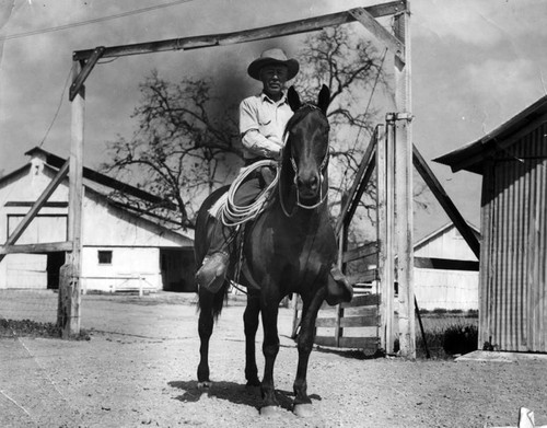 Ranch manager