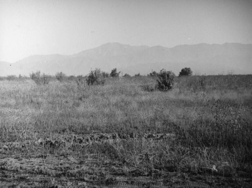 Riverside County — Calisphere