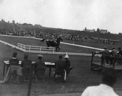 1932 Olympic Games dressage