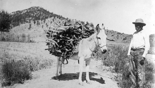 Wood-packing donkey