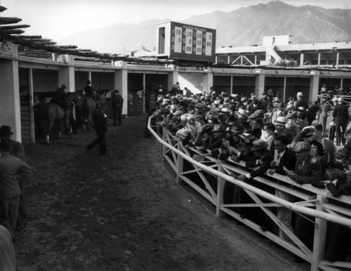 Anxious anticipation at the Santa Anita Racetrack