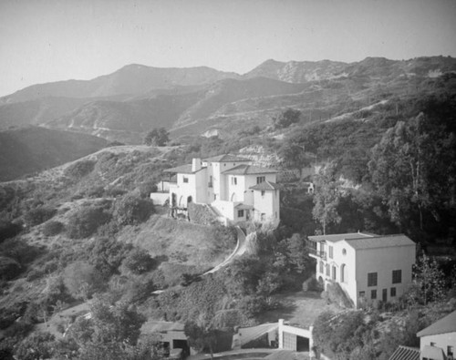 Homes in the Hollywood Hills