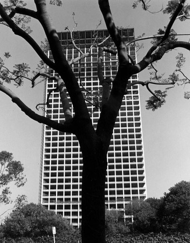 Union Bank being built