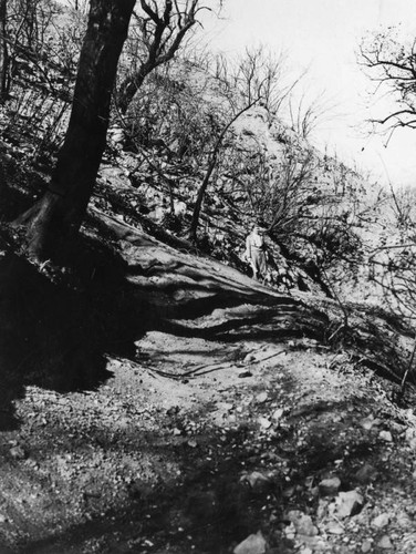 Santa Monica Mountains fire damage