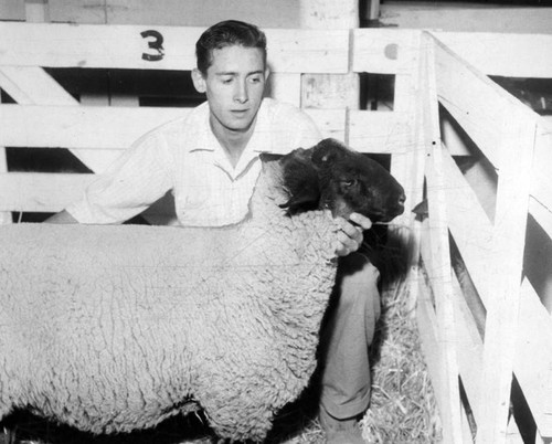 Antelope Valley Fair booths feature variety of exhibits