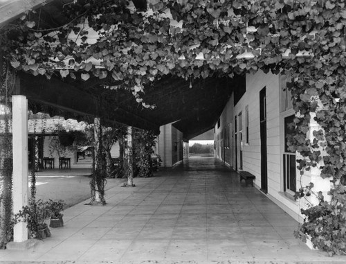 Hallway of Polytechnic Elementary — Calisphere