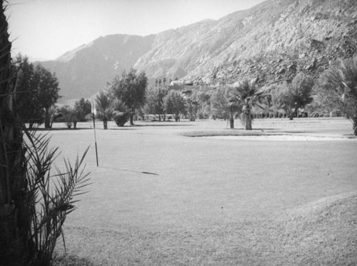 Golf course, Palm Springs