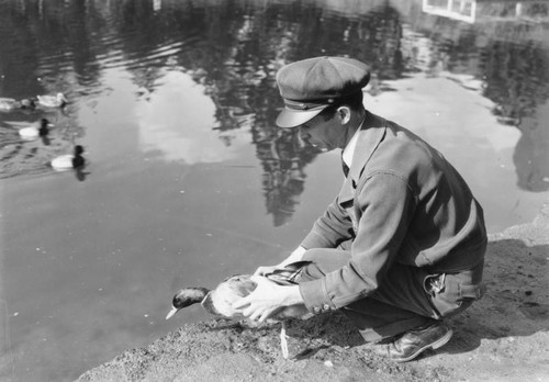 Duck at MacArthur Park