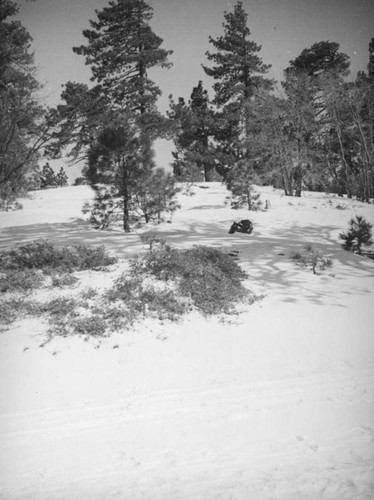 Big Pines Recreation Camp, snow covered hill