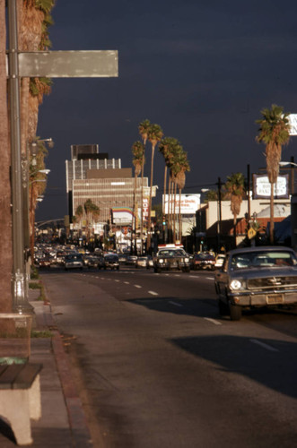 Afternoon on Sunset Boulevard