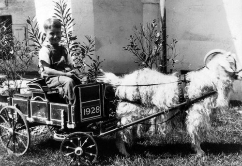 Boy in a carriage