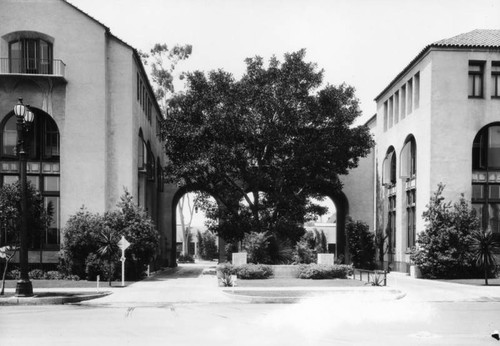 Auto Club Figueroa and Adams, view 2