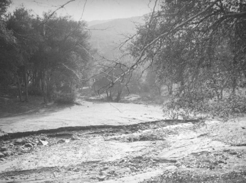 Erosion in Hindenburg Park, La Crescenta