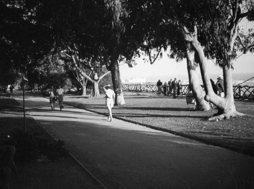 View of Palisades Park