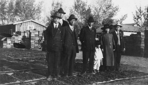 Korean Americans on raisin farm