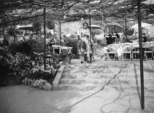 Tea under the Wistaria Vine, Sierra Madre