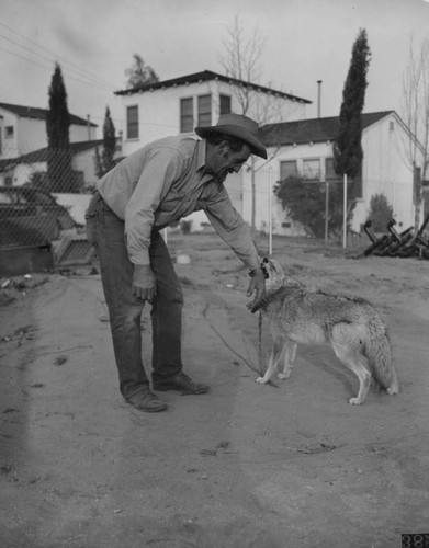 Man and coyote