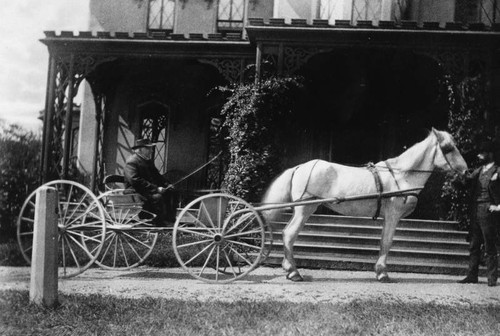 Man on horse-drawn wagon