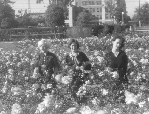 Three women in rose garden