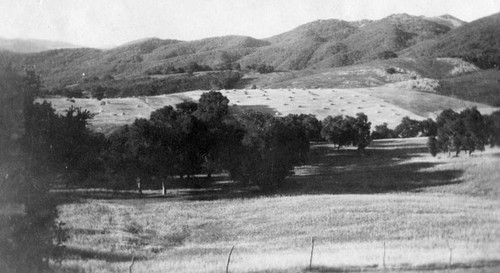 Panoramic view of Topanga Canyon