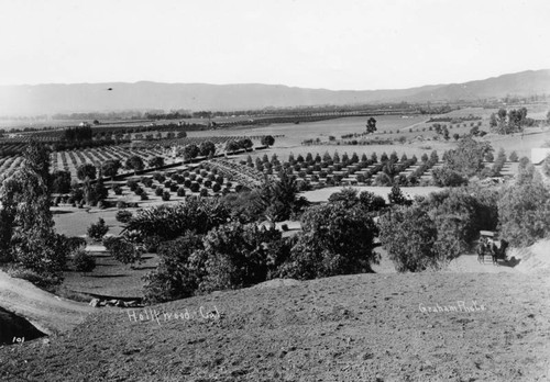 View of Hollywood agriculture