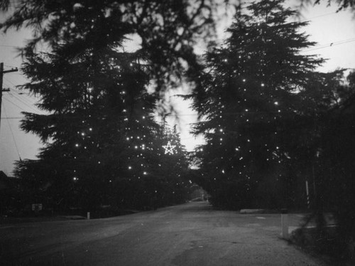 Star at sunset on Altadena's Christmas Tree Lane