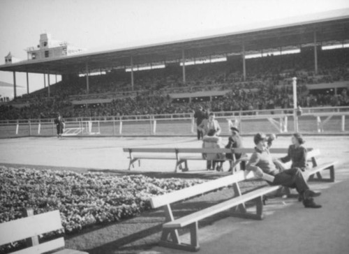 Benches inside the track, Santa Anita Racetrack