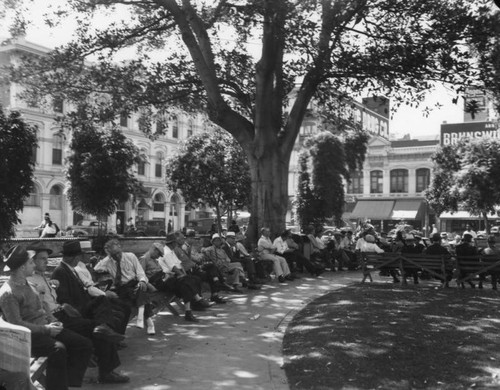 People relaxing under rubber tree in the Plaza